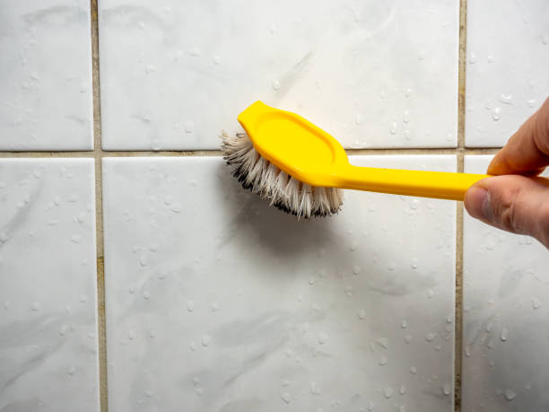 Best Affordable Mold Removal  in Brinkley, AR