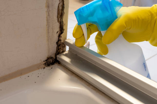 Best Crawl Space Mold Removal  in Brinkley, AR