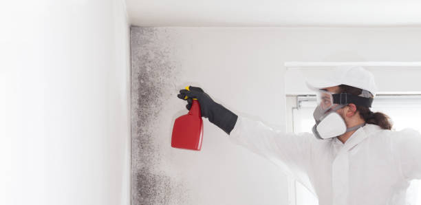 Best Residential Mold Removal  in Brinkley, AR