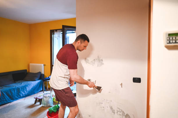 Mold Removal and Inspection in Brinkley, AR